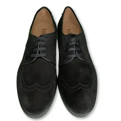 Beberlis Black Suede Wingtip Oxford Hot