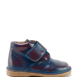 Papanatas Blue and Burgundy Brushed Velcro Wingtip Bootie Hot