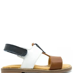 Papanatas Multicolor Velcro Sandal Online